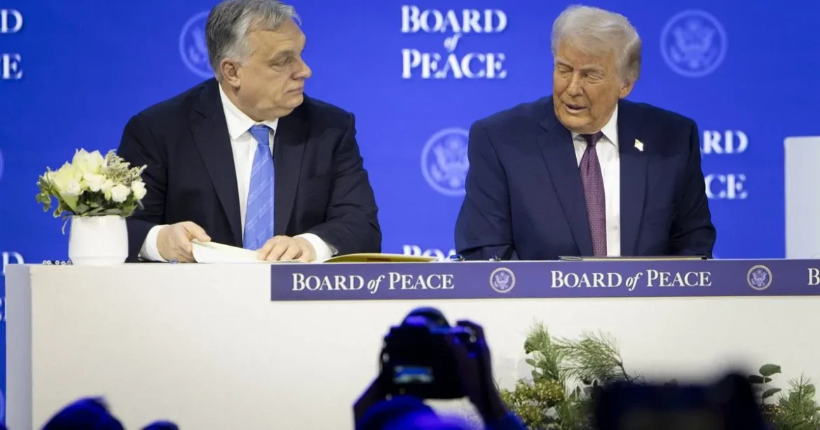 Hadházy Ákos kemény vádakat fogalmazott meg Orbán davosi utazásáról