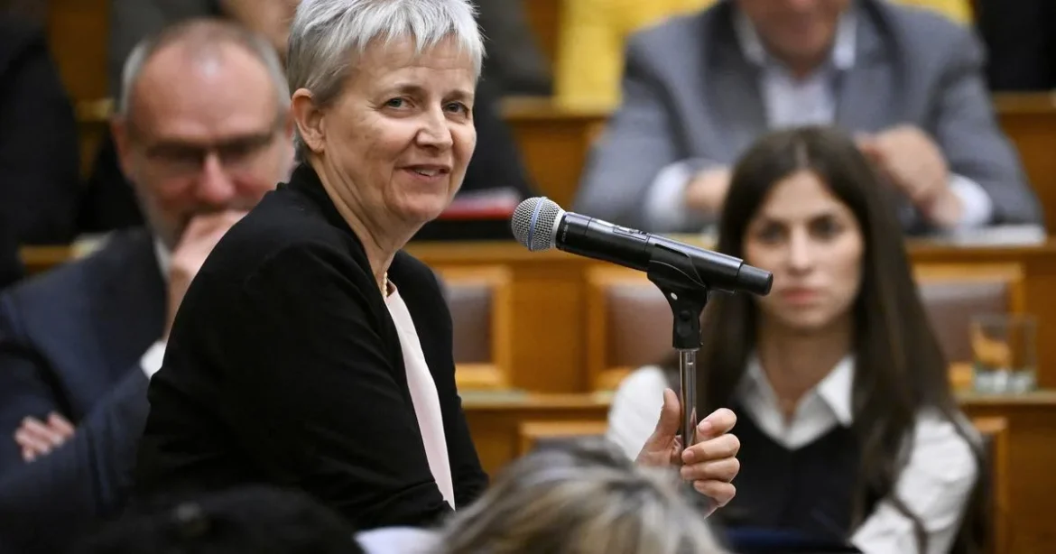 Lannert Judit hetek óta tartó támadásaira kemény válasz érkezett