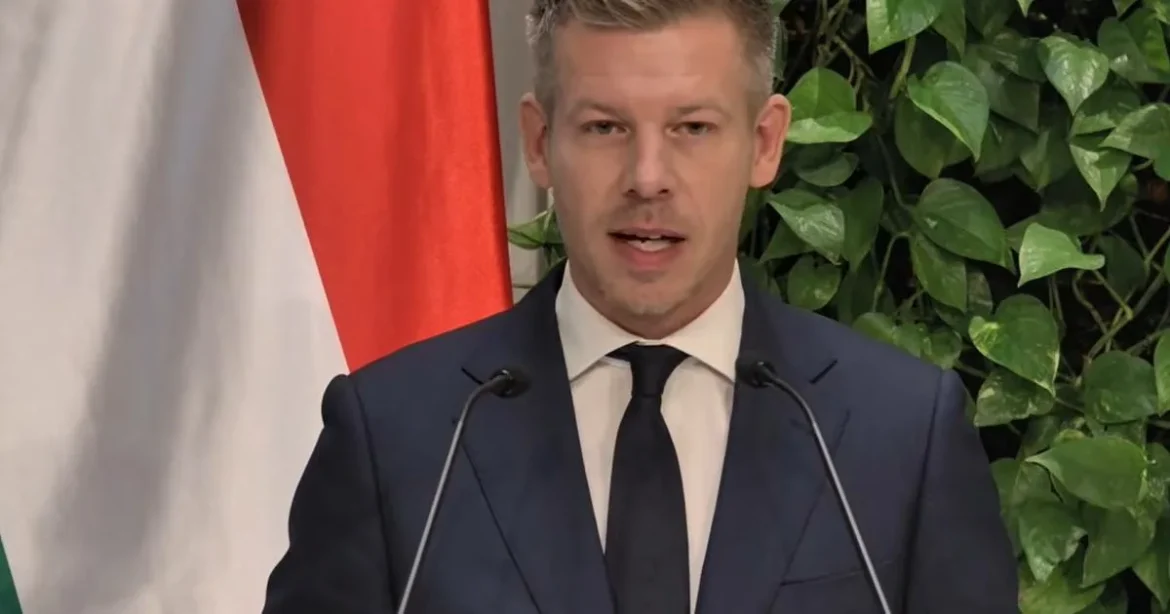 Magyar Péter rendkívüli bejelentést tesz