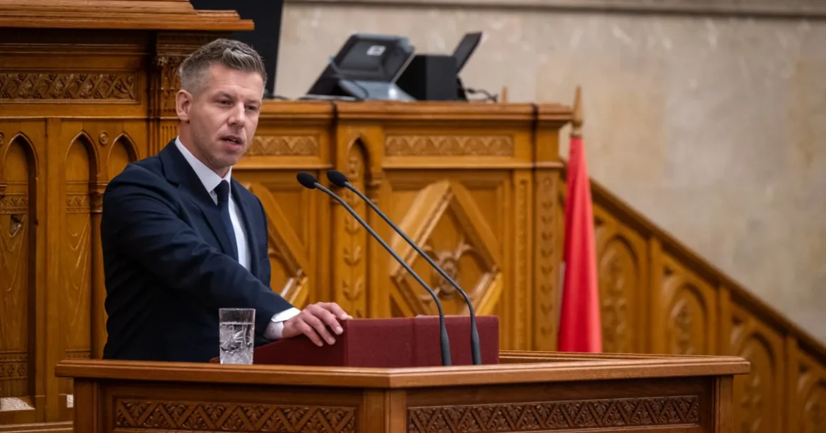Magyar Péter szerint ő javasolta Vásárhelyi kitüntetését Orbánnak