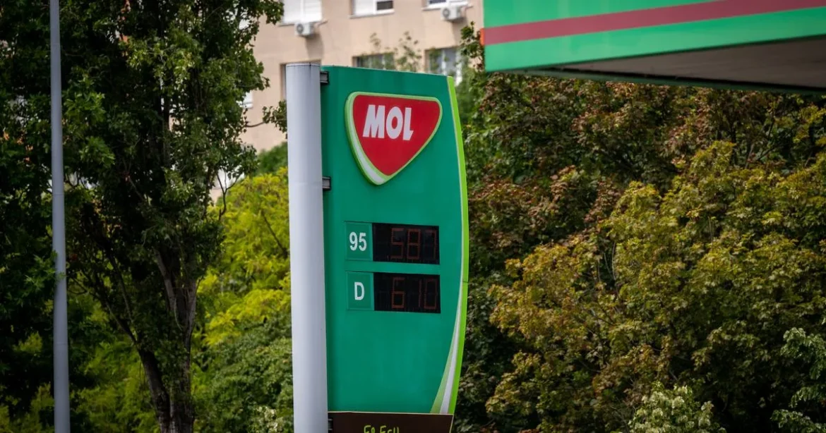 Mol mentette meg a napot a pesti tőzsdén, nemzetközi piacok vörösben