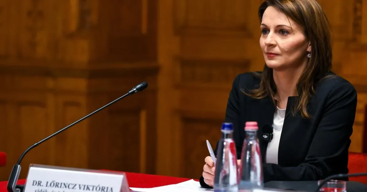 Sulyok Tamás utódja százmilliós gesztust tett, véget ért a „szupermarketes” válogatás
