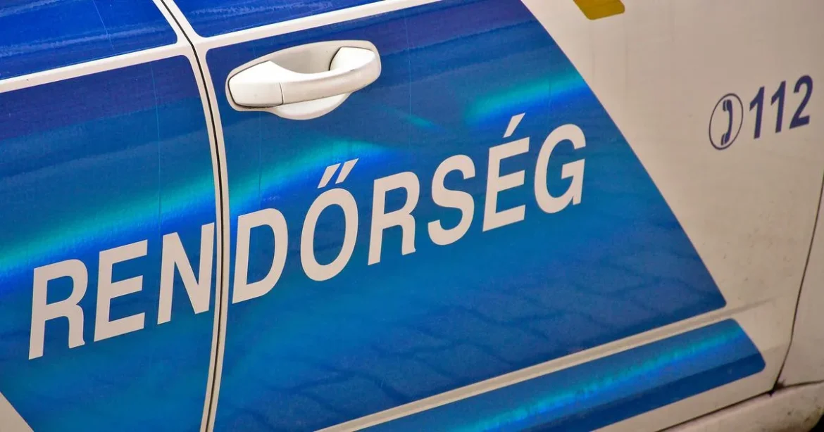 Top 50-es körözési listán szereplő férfit fogtak el Sződligeten három év bujkálás után
