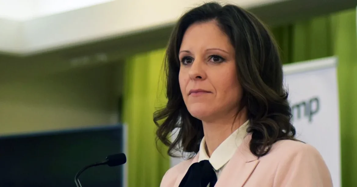 Fekete autóból figyelték kamerás emberek a magyar politikust, visszavonult