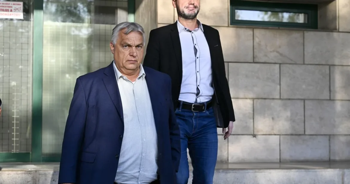 Magyar Péter ismét Havasi ellen támadt: megszüntették