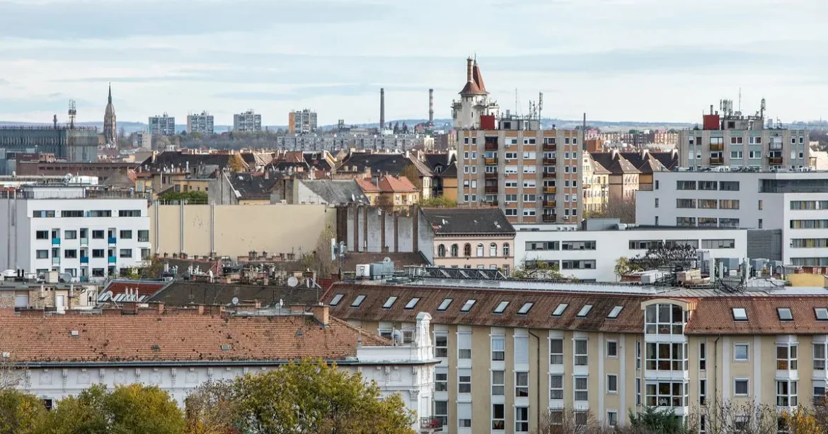 Rogán-Szendrei Cecília férje is kiszállt friss cégéből